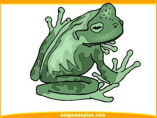 Flash Card Từ Vựng TOEIC Theo Chủ Để | Chủ đề Pets