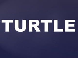 TURTLE
 