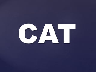 CAT
 