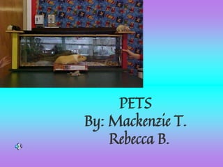 PETS
By: Mackenzie T.
Rebecca B.
 
