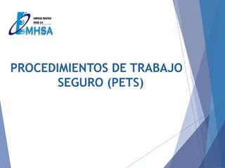 PROCEDIMIENTOS DE TRABAJO
SEGURO (PETS)
 