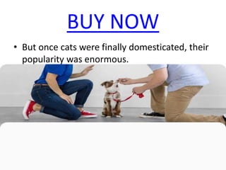 BUY NOW
• But once cats were finally domesticated, their
popularity was enormous.
 