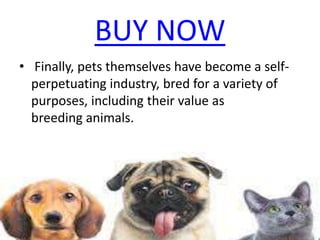 BUY NOW
• Finally, pets themselves have become a self-
perpetuating industry, bred for a variety of
purposes, including their value as
breeding animals.
 
