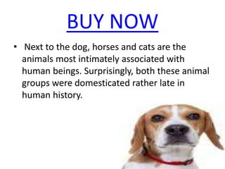 BUY NOW
• Next to the dog, horses and cats are the
animals most intimately associated with
human beings. Surprisingly, both these animal
groups were domesticated rather late in
human history.
 