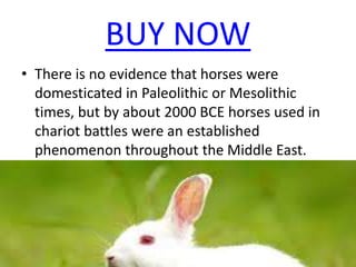 BUY NOW
• There is no evidence that horses were
domesticated in Paleolithic or Mesolithic
times, but by about 2000 BCE horses used in
chariot battles were an established
phenomenon throughout the Middle East.
 