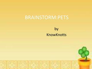 BRAINSTORM:PETS
by
KnowKnotts
 