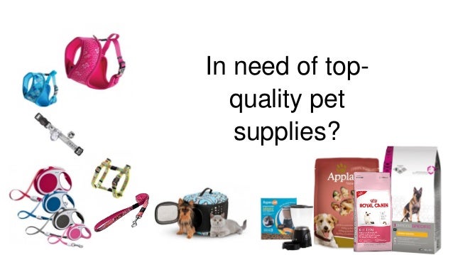 pet supplies and accessories