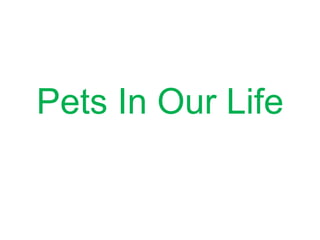 Pets In Our Life
 