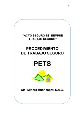 001
1
INDICE GENERAL
MANUAL DE
PROCEDIMIENTO
DE TRABAJO SEGURO
PETS
Cía. Minera Huancapetí S.A.C.
“ACTO SEGURO ES SIEMPRE
TRABAJO SEGURO”
 