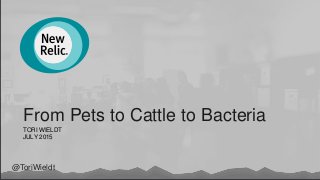 @ToriWieldt
From Pets to Cattle to Bacteria
TORI WIELDT
JULY 2015
 