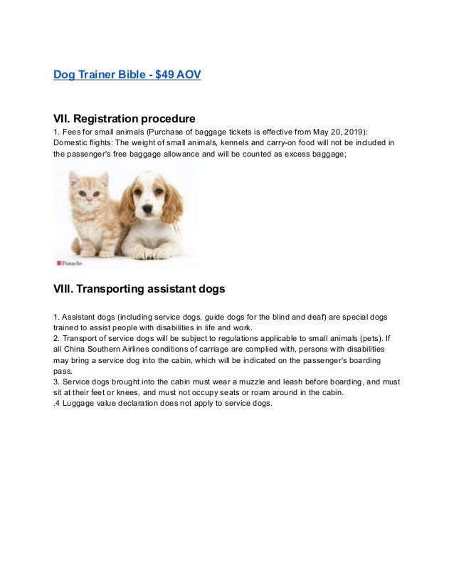 Pets and animals training ,food PDF