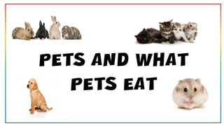 PETS AND WHAT
PETS EAT
cv
cv
cv cv
 