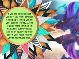 If you are spiritually lost
yourself, you might consider
finding a pet to help you on
your spiritual journey. A dog
requires more commitment
than a fish, but they can all
take up an equally important
spot in your heart, helping
you find spiritual peace.
 