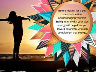 Before looking for a pet,
spend some time
acknowledging yourself.
Being in tune with your own
energy will help draw you
toward an animal who can
complement that energy.
 