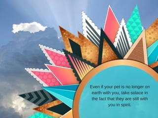 Even if your pet is no longer on
earth with you, take solace in
the fact that they are still with
you in spirit.
 