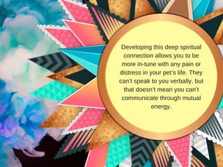 Developing this deep spiritual
connection allows you to be
more in-tune with any pain or
distress in your pet’s life. They
can’t speak to you verbally, but
that doesn’t mean you can’t
communicate through mutual
energy.
 