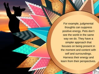 For example, judgmental
thoughts can suppress
positive energy. Pets don’t
see the world in the same
way we do. They have a
simpler approach that
focuses on being present in
the moment and content with
self and surroundings.
Harness their energy and
learn from their perspectives.
 