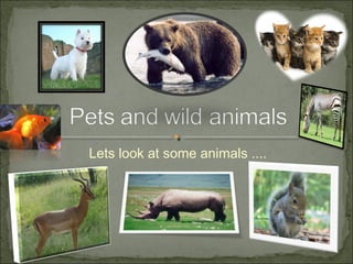 Lets look at some animals ....

 