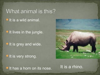 It is a wild animal.
It lives in the jungle.
It is grey and wide.
It is very strong.
It has a horn on its nose.
It is a rhino.