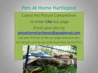 Pets At Home Hartlepool Cutest Pet Picture Competition  to enter Like our page Email your pics to petsathomehartlepool@googlemail.com Get your friends to like our page and your pics £25.00 gift card for pic with most likes by 31/0711 