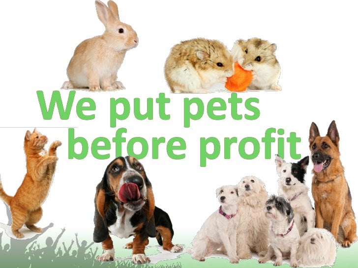 Best In Class 5 Pets at Home 2012