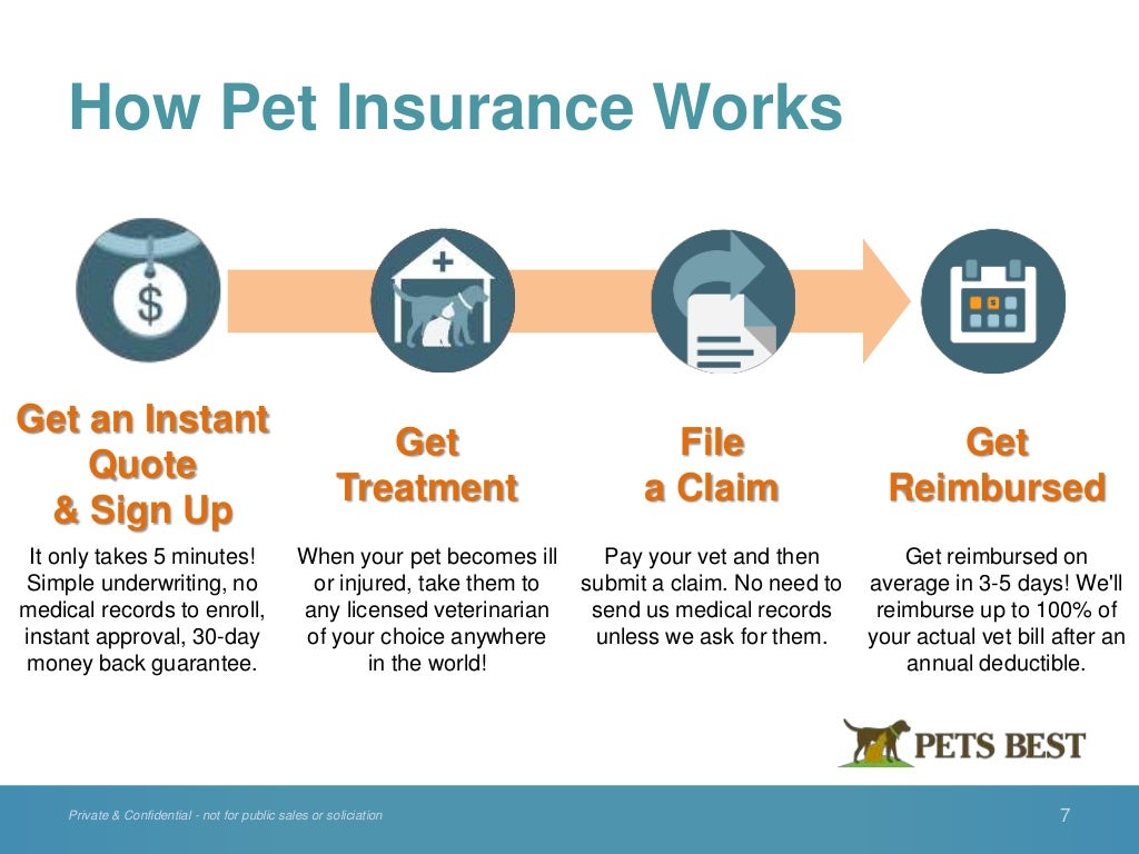 Pets best insurance employer benefit information june 2015