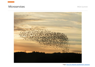 MSA-SummitMicroservices
Image:	https://en.wikipedia.org/wiki/Swarm_behaviour
 