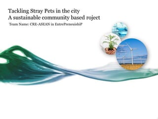 Tackling Stray Pets in the city
A sustainable community based roject
Team Name: CRE-ASEAN in EntrePreneuishiP
 