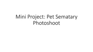 Mini Project: Pet Sematary
Photoshoot
 
