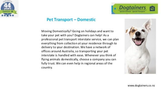 dogtainers pet transport