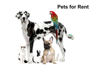 Pets for Rent  
