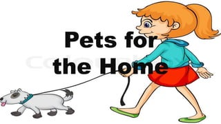 Pets for
the Home
 
