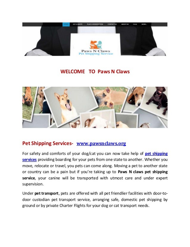 dog transporters ground service