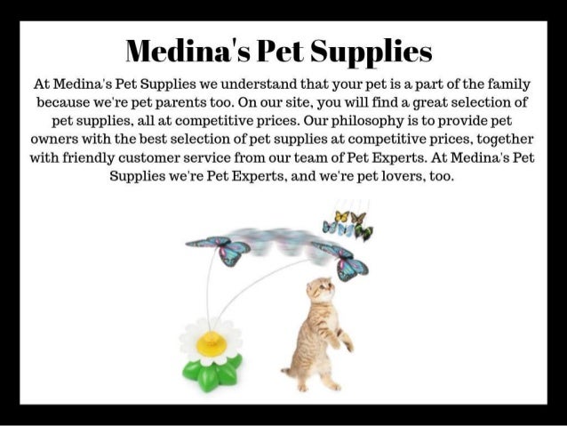 Pet Shop Near Me