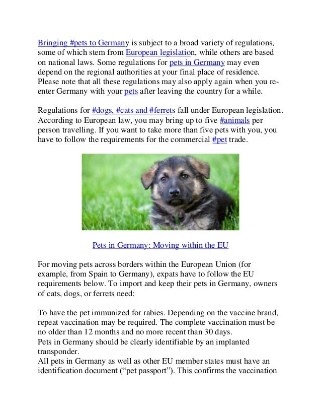Pets in Germany Regulations for Pet Import