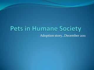 Adoption story…December 2011
 