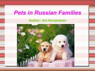 Pets in Russian Families
Author: Ani Karapetyan

 