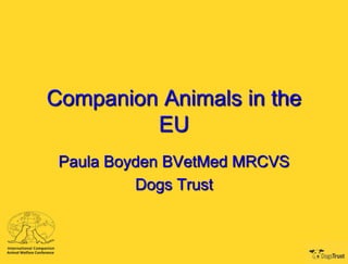 Companion Animals in the
         EU
 Paula Boyden BVetMed MRCVS
          Dogs Trust
 