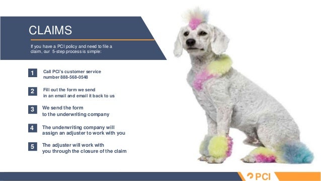 Pet sitter insurance overview