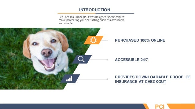 Pet sitter insurance overview