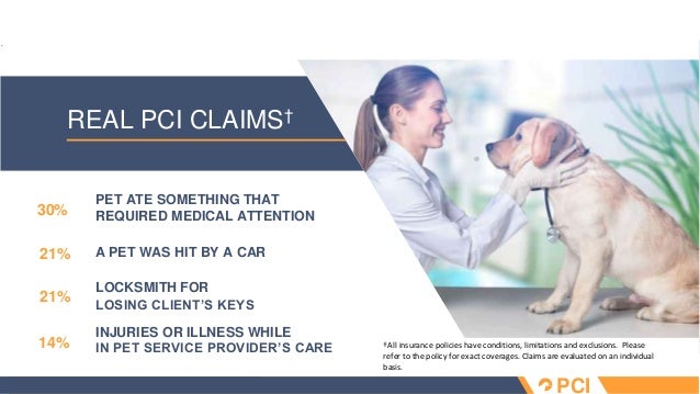 Pet sitter insurance overview