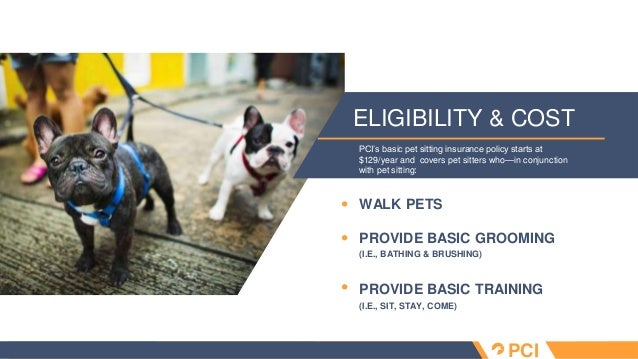 Pet sitter insurance overview