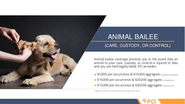 Pet sitter insurance overview