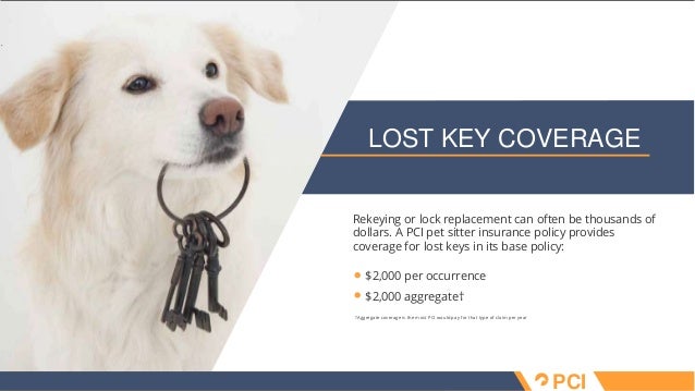 Pet sitter insurance overview