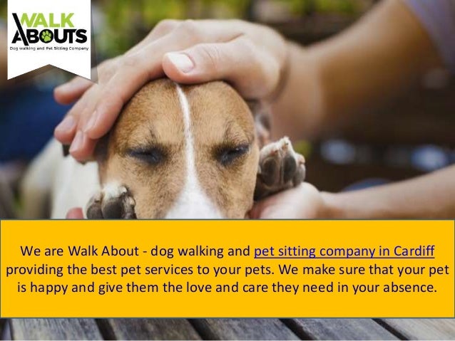Pet Sitting Company In Cardiff pet-sitting-company-in-cardiff