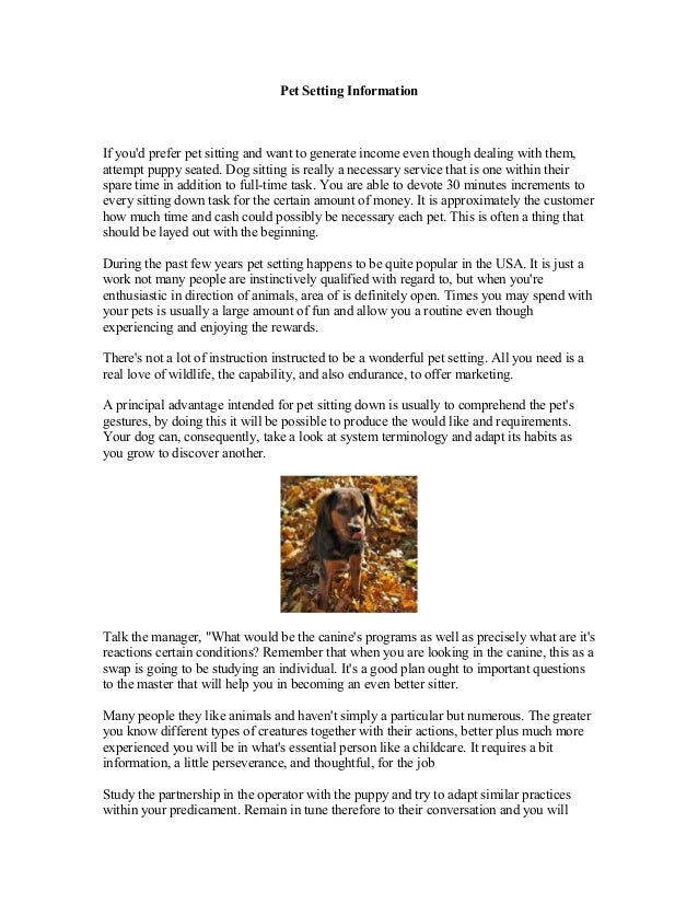 pet sitting information