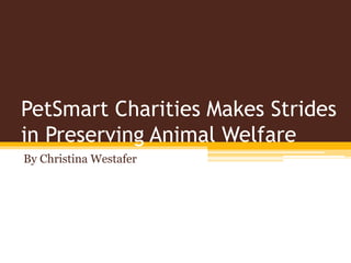 PetSmart Charities Makes Strides
in Preserving Animal Welfare
By Christina Westafer
 