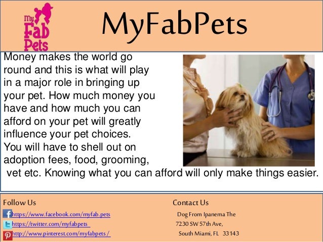 Pets Matchmaker - How To Match Your Pet