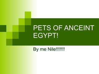 PETS OF ANCEINT EGYPT! By me Nile!!!!!!! 