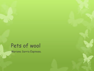 Pets of wool
Mariana Sarria Espinosa.
 